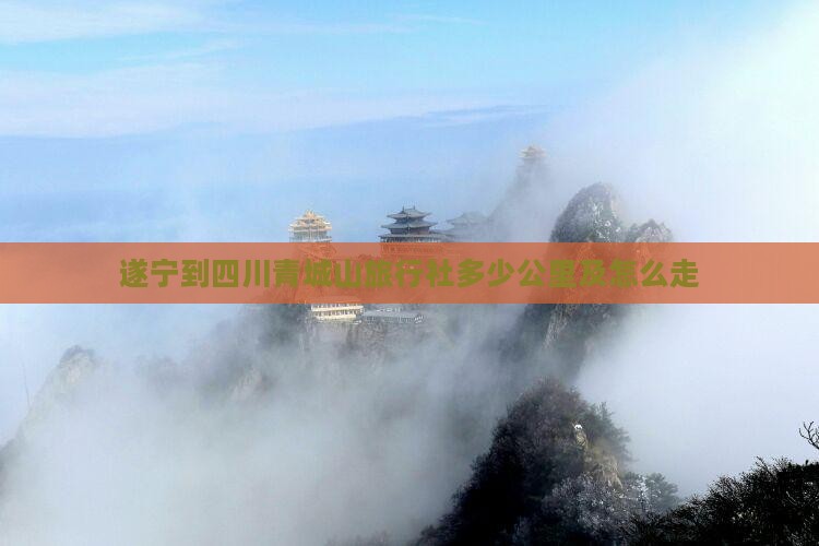 遂宁到四川青城山旅行社多少公里及怎么走