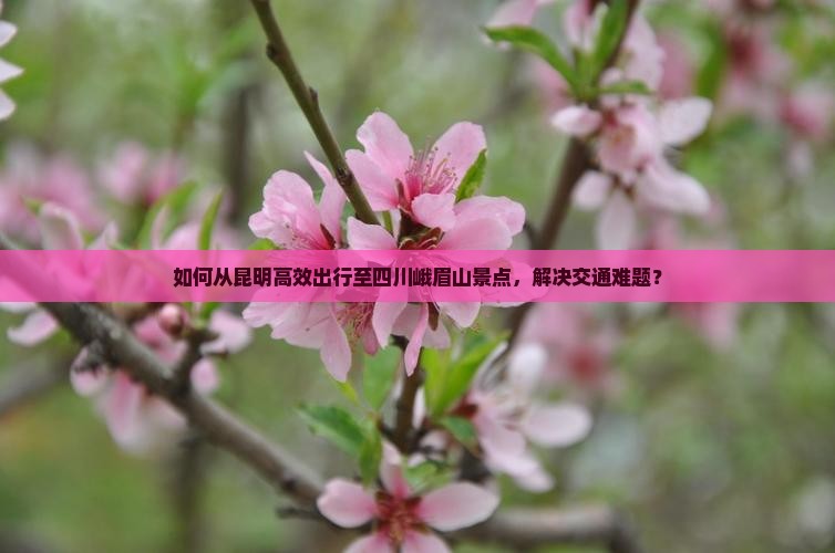 如何从昆明高效出行至四川峨眉山景点，解决交通难题？