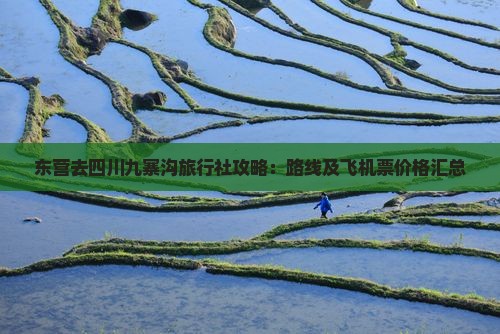 东营去四川九寨沟旅行社攻略：路线及飞机票价格汇总
