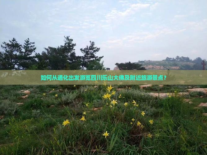 如何从通化出发游览四川乐山大佛及附近旅游景点？