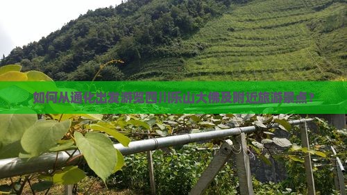 如何从通化出发游览四川乐山大佛及附近旅游景点？