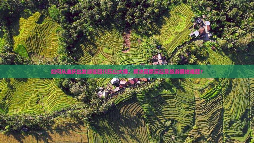 如何从迪庆出发游览四川乐山大佛，解决高原反应及旅游拥堵难题？