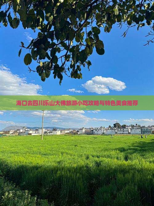 海口去四川乐山大佛旅游小吃攻略与特色美食推荐