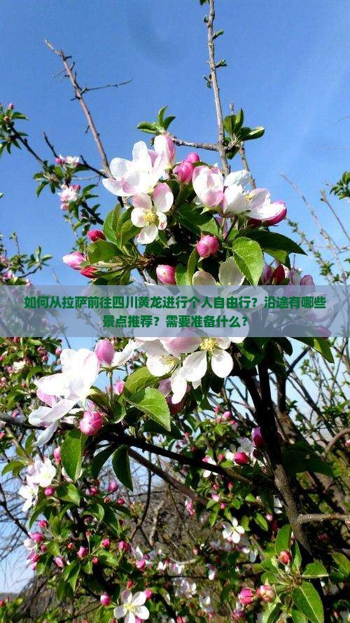 如何从拉萨前往四川黄龙进行个人自由行？沿途有哪些景点推荐？需要准备什么？