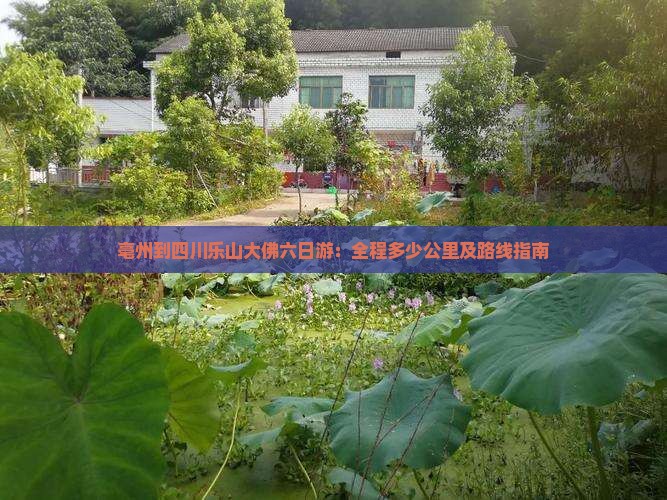 亳州到四川乐山大佛六日游：全程多少公里及路线指南