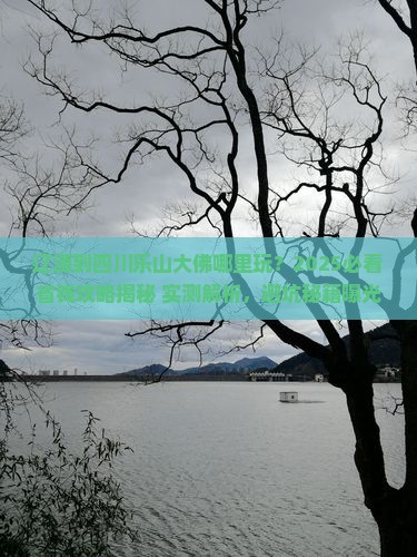 辽源到四川乐山大佛哪里玩