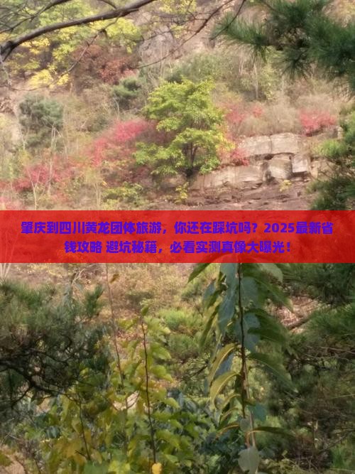 肇庆到四川黄龙团体旅游