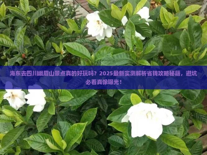海东去四川峨眉山景点