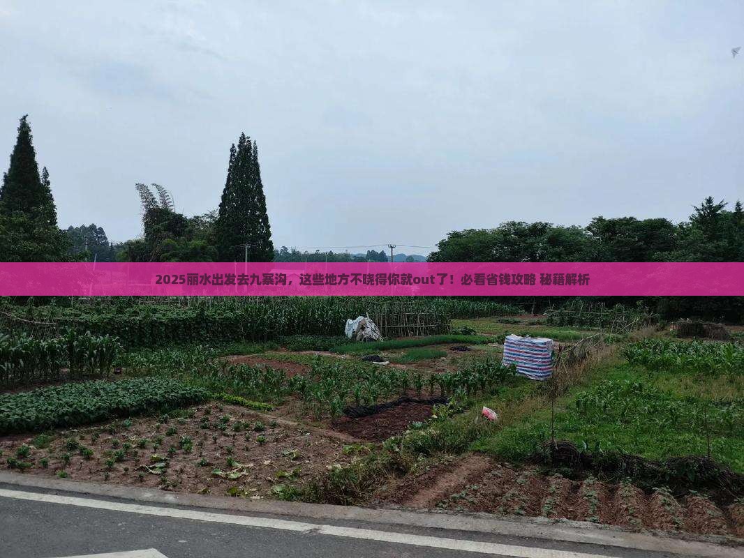 丽水去四川九寨沟必去地 丽水去四川九寨沟必去地