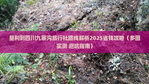 垦利到四川九寨沟旅行社
