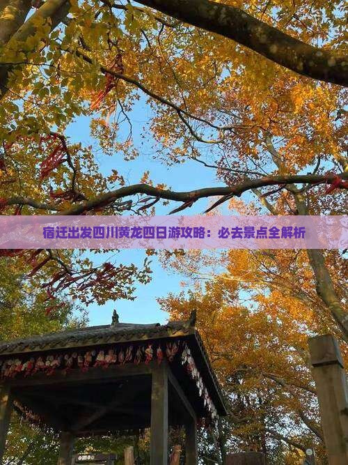 宿迁到四川黄龙四日游