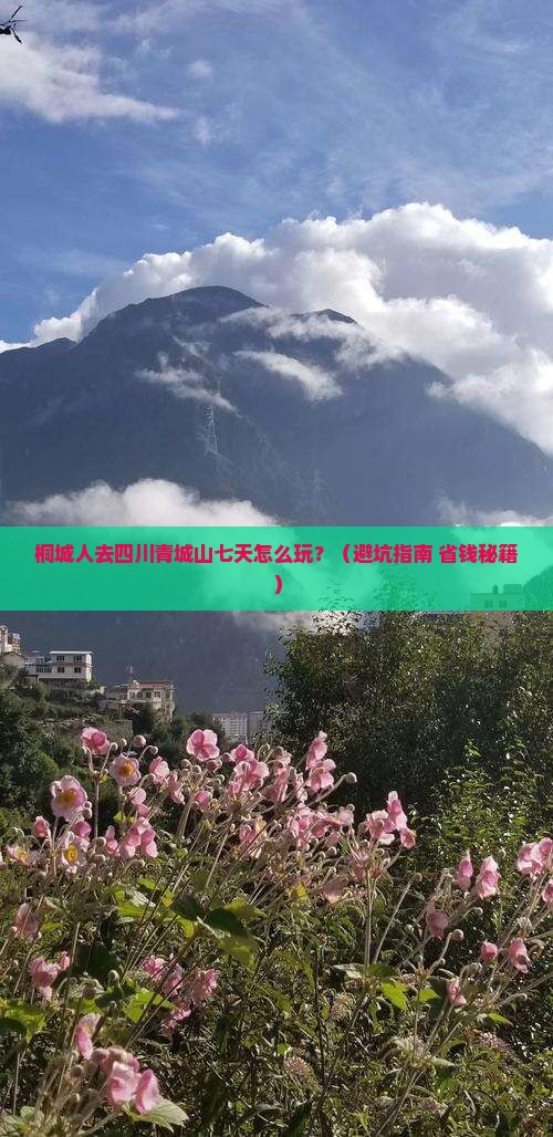 桐城去四川青城山七日游
