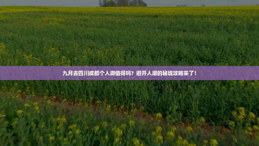 九月到四川成都个人游