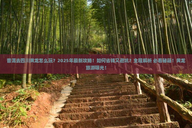 普洱去四川黄龙团体旅游
