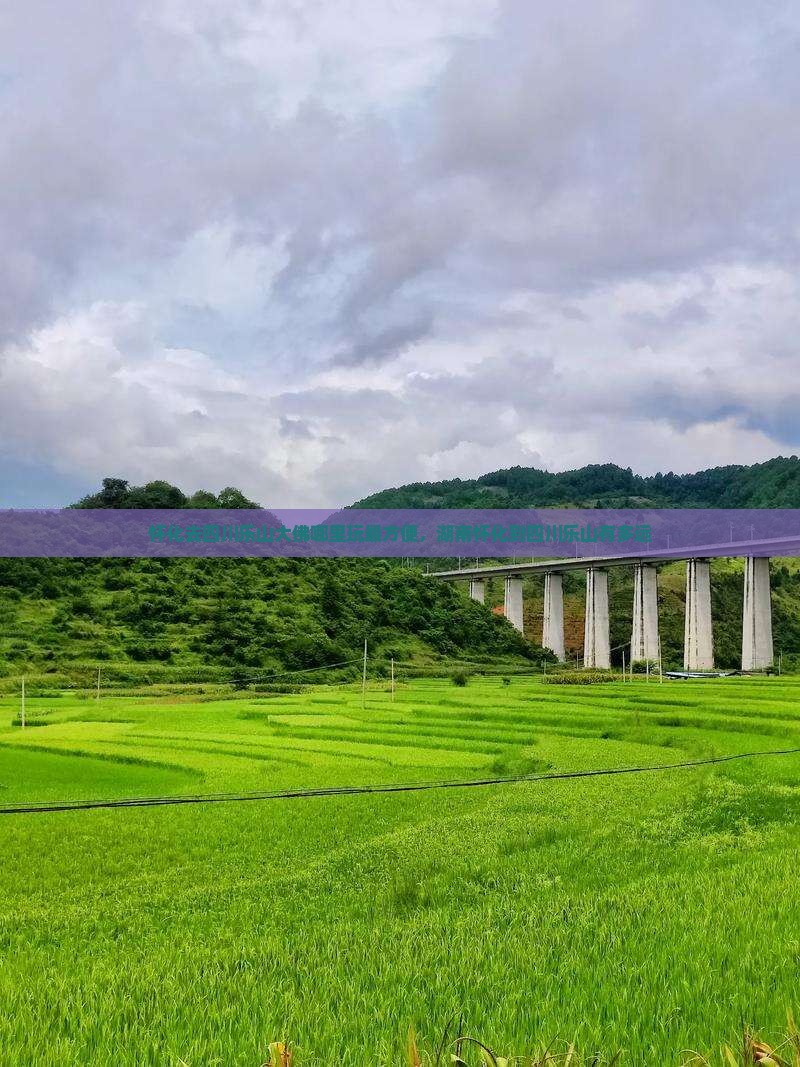 怀化去四川乐山大佛哪里玩