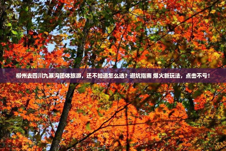 柳州去四川九寨沟团体旅游