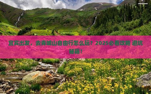 宜宾到四川青城山自由行