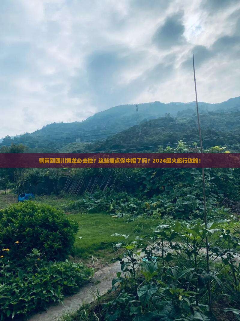 鹤岗到四川黄龙必去地
