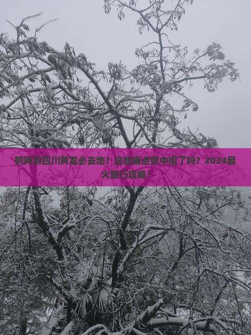 鹤岗到四川黄龙必去地
