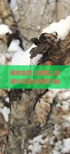 廊坊去四川峨眉山旅游小吃