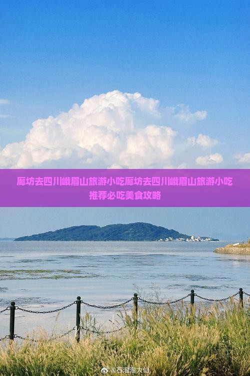 廊坊去四川峨眉山旅游小吃