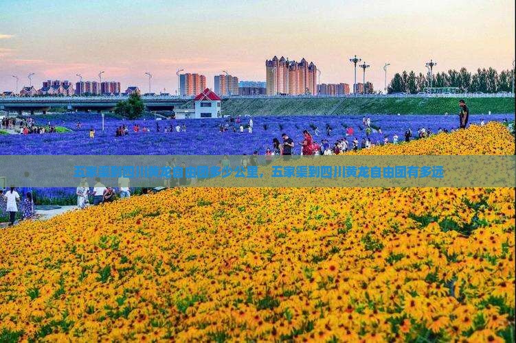五家渠到四川黄龙自由团
