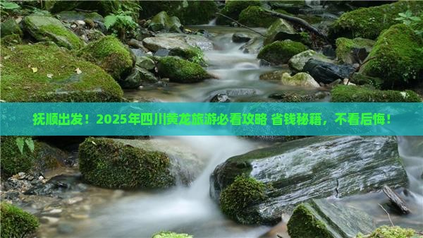 抚顺到四川黄龙旅游