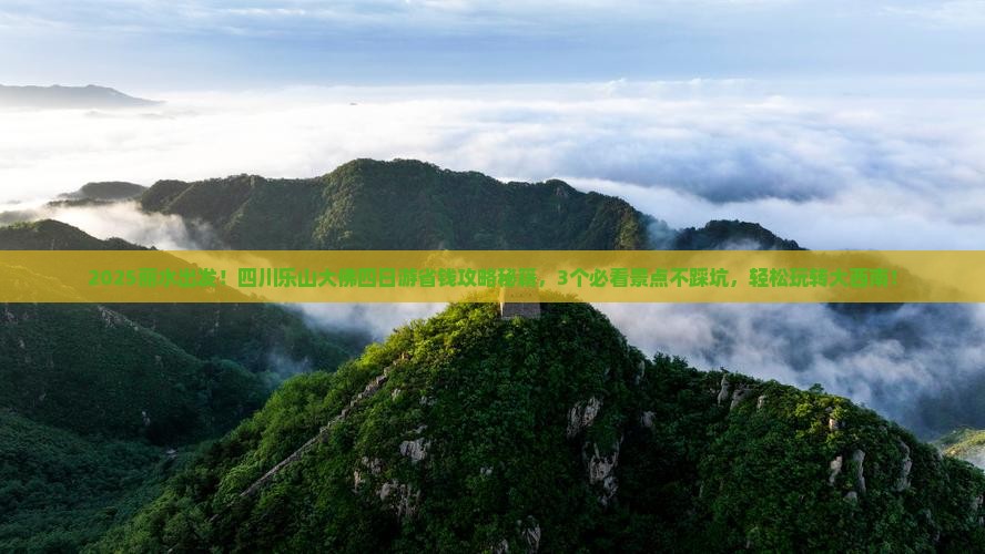 丽水到四川乐山大佛四日游