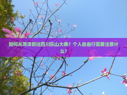如何从菏泽前往四川乐山大佛？个人自由行需要注意什么？