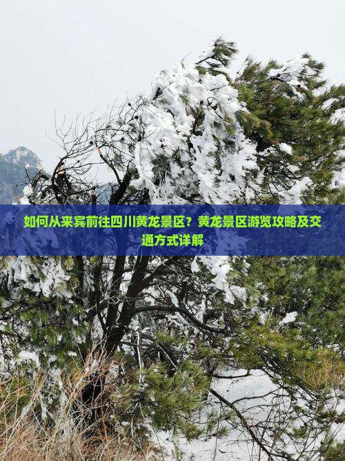 如何从来宾前往四川黄龙景区？黄龙景区游览攻略及交通方式详解