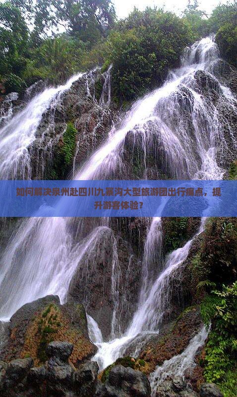 如何解决泉州赴四川九寨沟大型旅游团出行痛点，提升游客体验？