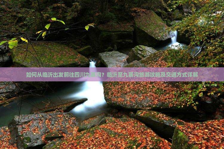 如何从临沂出发前往四川九寨沟？临沂至九寨沟旅游攻略及交通方式详解