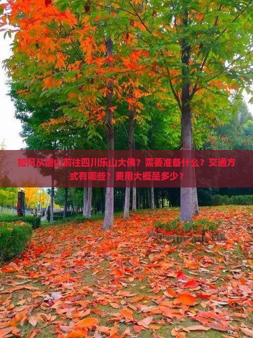 如何从唐山前往四川乐山大佛？需要准备什么？交通方式有哪些？费用大概是多少？