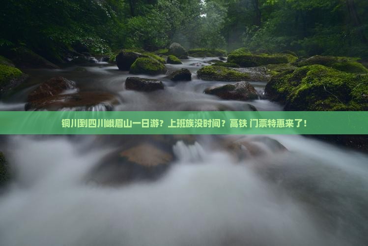 铜川到四川峨眉山一日游？上班族没时间？高铁+门票特惠来了！