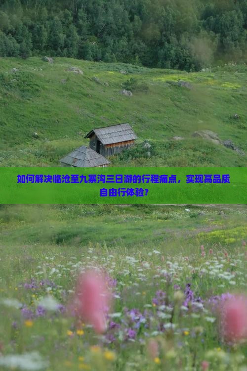 如何解决临沧至九寨沟三日游的行程痛点，实现高品质自由行体验？