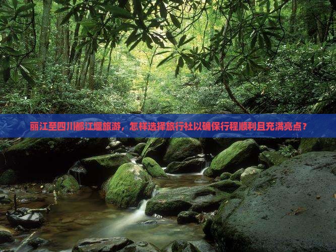 丽江至四川都江堰旅游，怎样选择旅行社以确保行程顺利且充满亮点？
