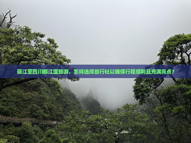 丽江至四川都江堰旅游，怎样选择旅行社以确保行程顺利且充满亮点？