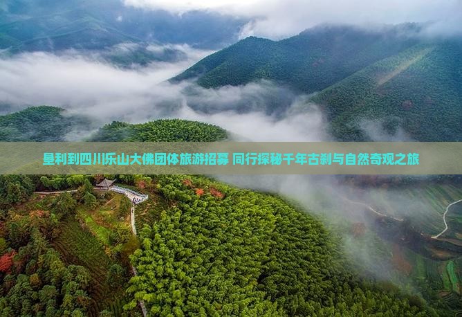 垦利到四川乐山大佛团体旅游招募 同行探秘千年古刹与自然奇观之旅