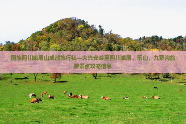 国旅四川峨眉山成都旅行社—大兴安岭至四川峨眉、乐山、九寨沟旅游景点攻略信息