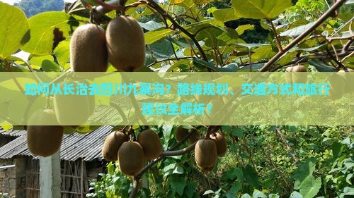如何从长治去四川九寨沟？路线规划、交通方式和旅行建议全解析？