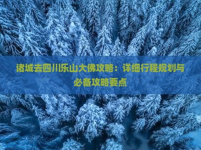 诸城去四川乐山大佛攻略：详细行程规划与必备攻略要点