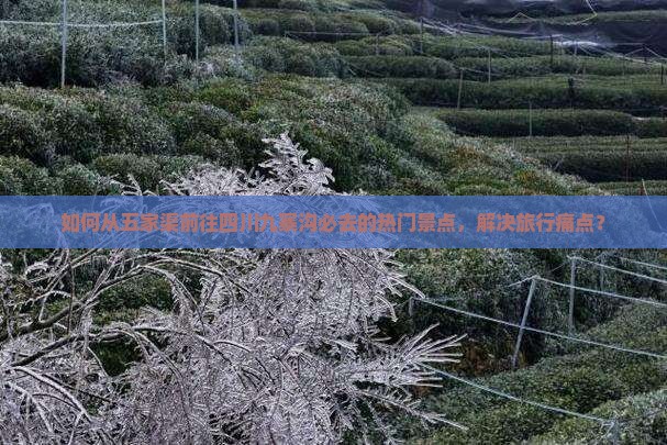 如何从五家渠前往四川九寨沟必去的热门景点，解决旅行痛点？