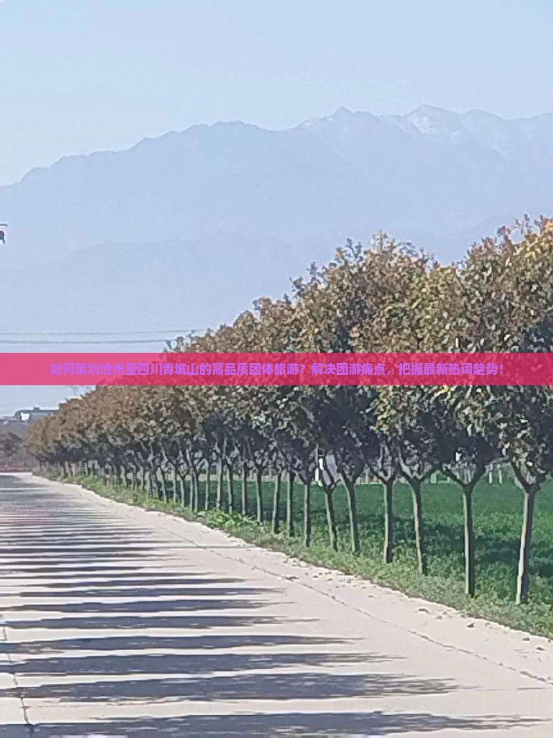 如何策划沧州至四川青城山的高品质团体旅游？解决团游痛点，把握最新热词趋势！