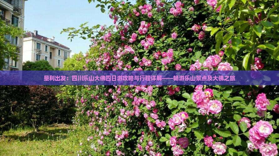 垦利出发：四川乐山大佛四日游攻略与行程详解——畅游乐山景点及大佛之旅