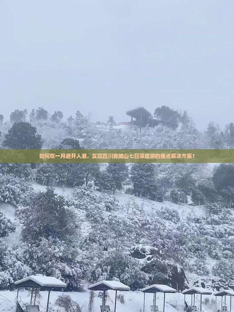 如何在一月避开人潮，实现四川青城山七日深度游的痛点解决方案？