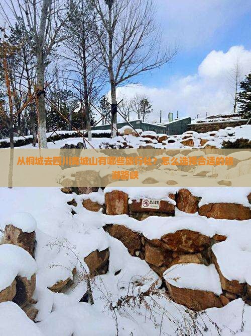 从桐城去四川青城山有哪些旅行社？怎么选择合适的旅游路峡