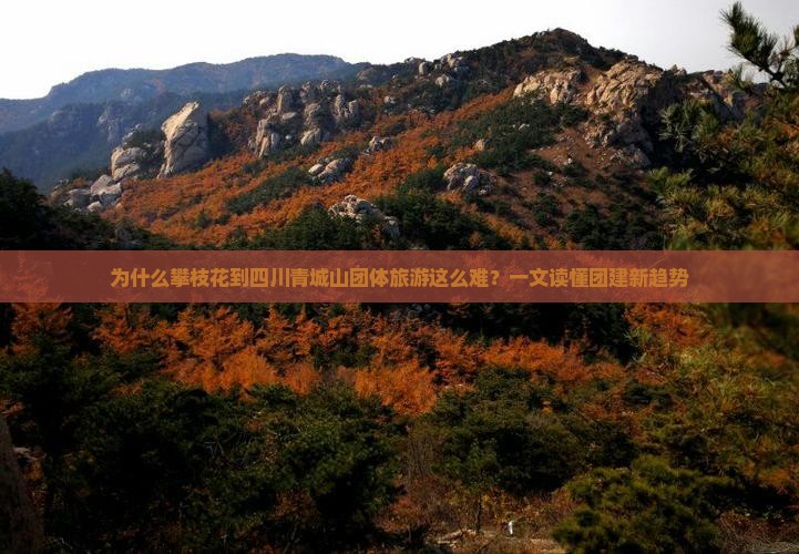 为什么攀枝花到四川青城山团体旅游这么难？一文读懂团建新趋势