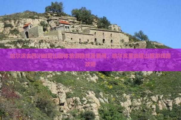哈尔滨去四川峨眉山团体旅游路线及费用，哈尔滨至峨眉山旅游线路攻略