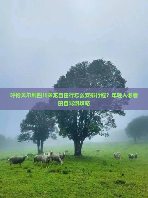 呼伦贝尔到四川黄龙自由行怎么安排行程？年轻人必看的自驾游攻略