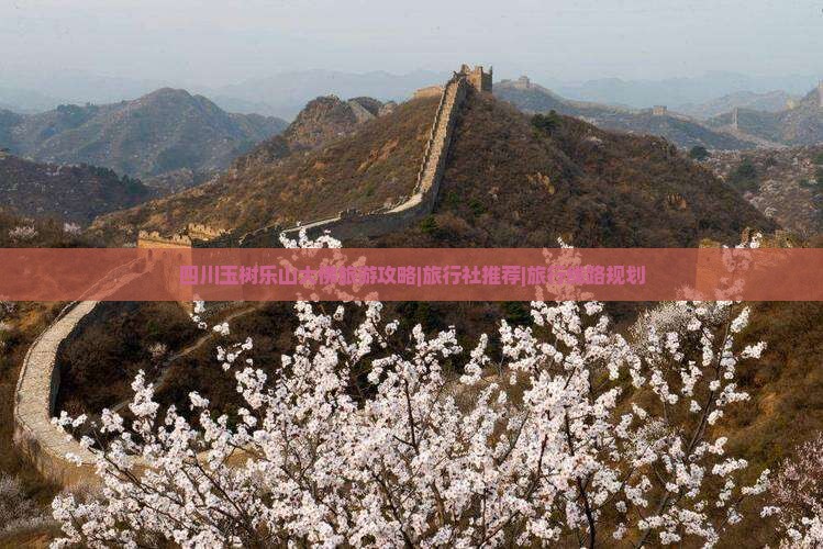 四川玉树乐山大佛旅游攻略|旅行社推荐|旅行线路规划